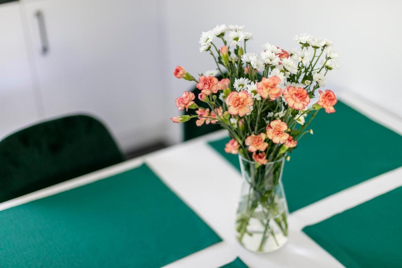 Apartamenty Zielona Lipka ピシュ エクステリア 写真